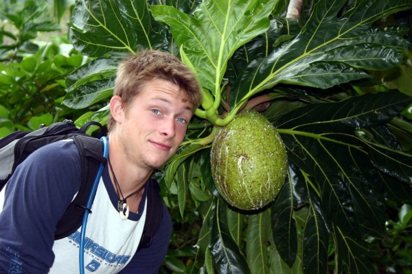 They grew as large as Ryan's head.